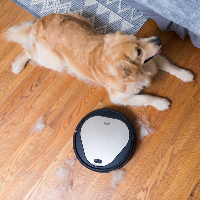 Ollie Ultra cleaning the dog hair from the floor