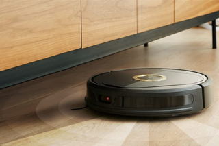 Lucy Ultra scanning the area