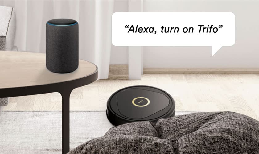 Lucy med Alexa